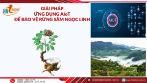 GIẢI PHÁP ỨNG DỤNG AIoT ĐỂ BẢO VỆ RỪNG SÂM NGỌC LINH